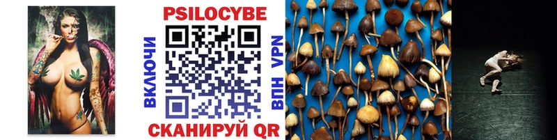 Купить закладки  Сухиничи  Галлюциногенные грибы Psilocybe 